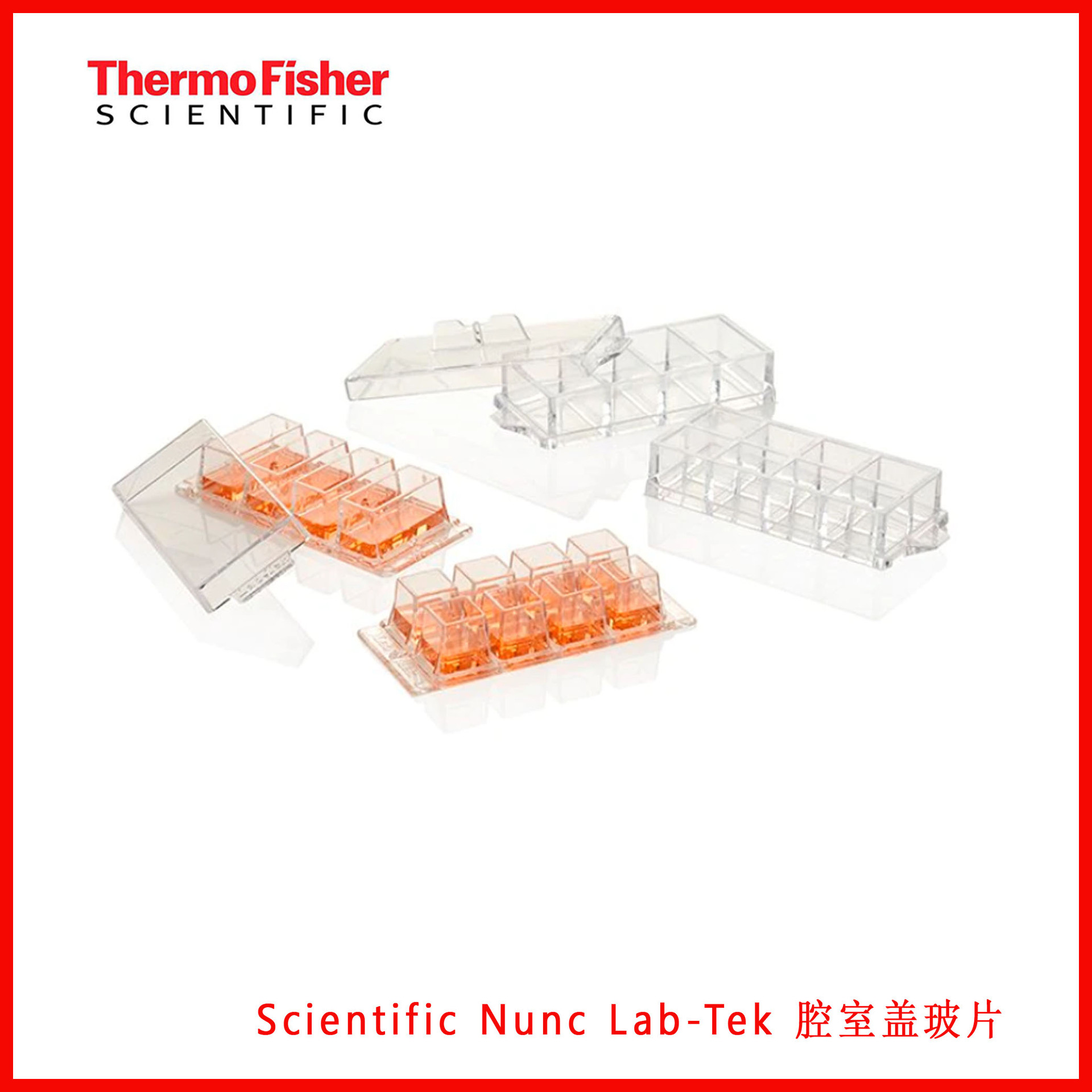 Thermo Scientific Nunc Lab-Tek腔室盖玻片155361/155380/155383