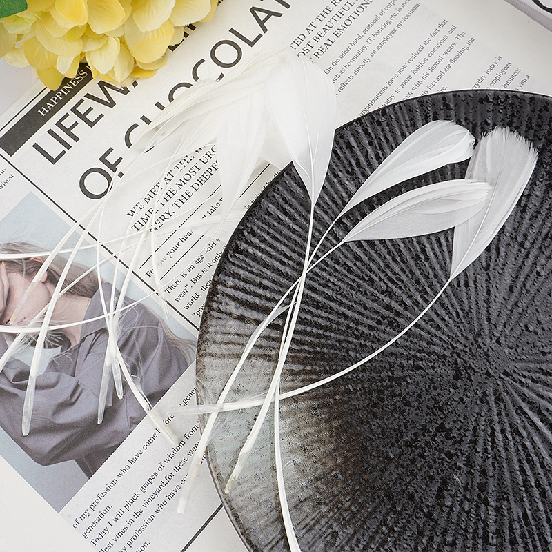 Plumas Decorativas Artesanales para Bodas y Manualidades DIY