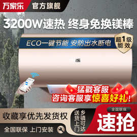 万家.乐FW3电热水器家用洗澡节能储水出水断电60L/80升一级能效