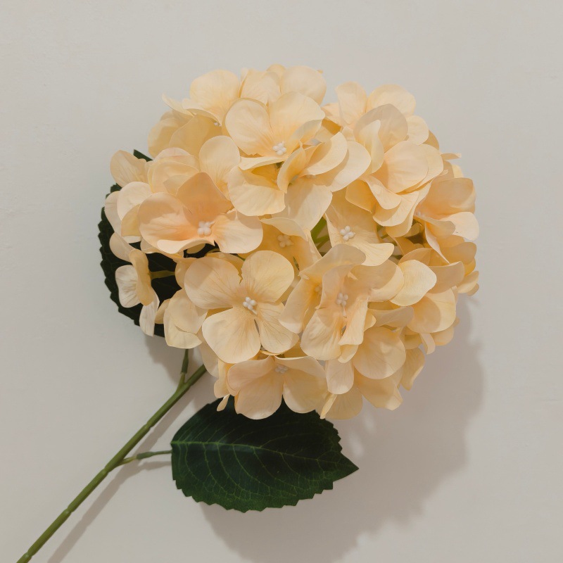 업그레이드된 3D 프린팅 샴페인 골드