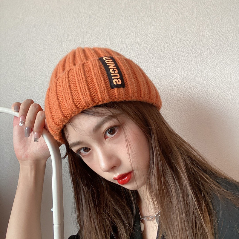 女性用冬用帽子、韓国版、多用途でファッショナブルなロングラベルウール帽子、冬用インターネットセレブ暖かい耳保護包頭ニット帽|undefined