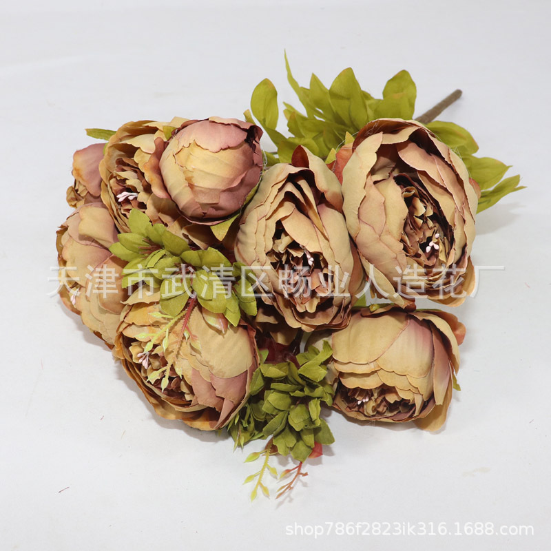 13 grandes pivoines