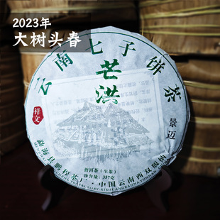 ���~ɽâ���ն�������Ř�����������357��2023�괺��