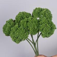 Сm˻ϾGֲҾܛb廨Ľ