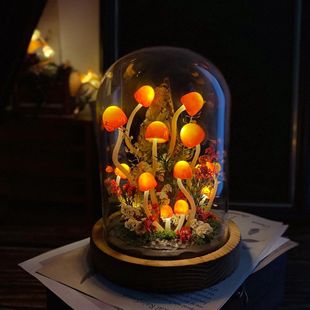 Cross-border Explosions Handmade Mushroom Lamp Eternal Flower Amazon New Custom Night Light