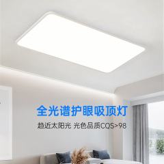 RA97 Full Spectrum Anti-Blue Light Eye-Care Ceiling Lamp for Minimalist Living Room and Bedroom, Whole House Lighting Set