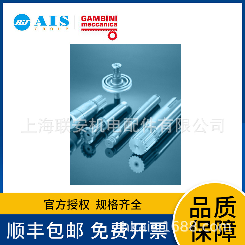 Gambini (伽比尼）斜齿长轴齿轮 订货号 1HP36L040030A