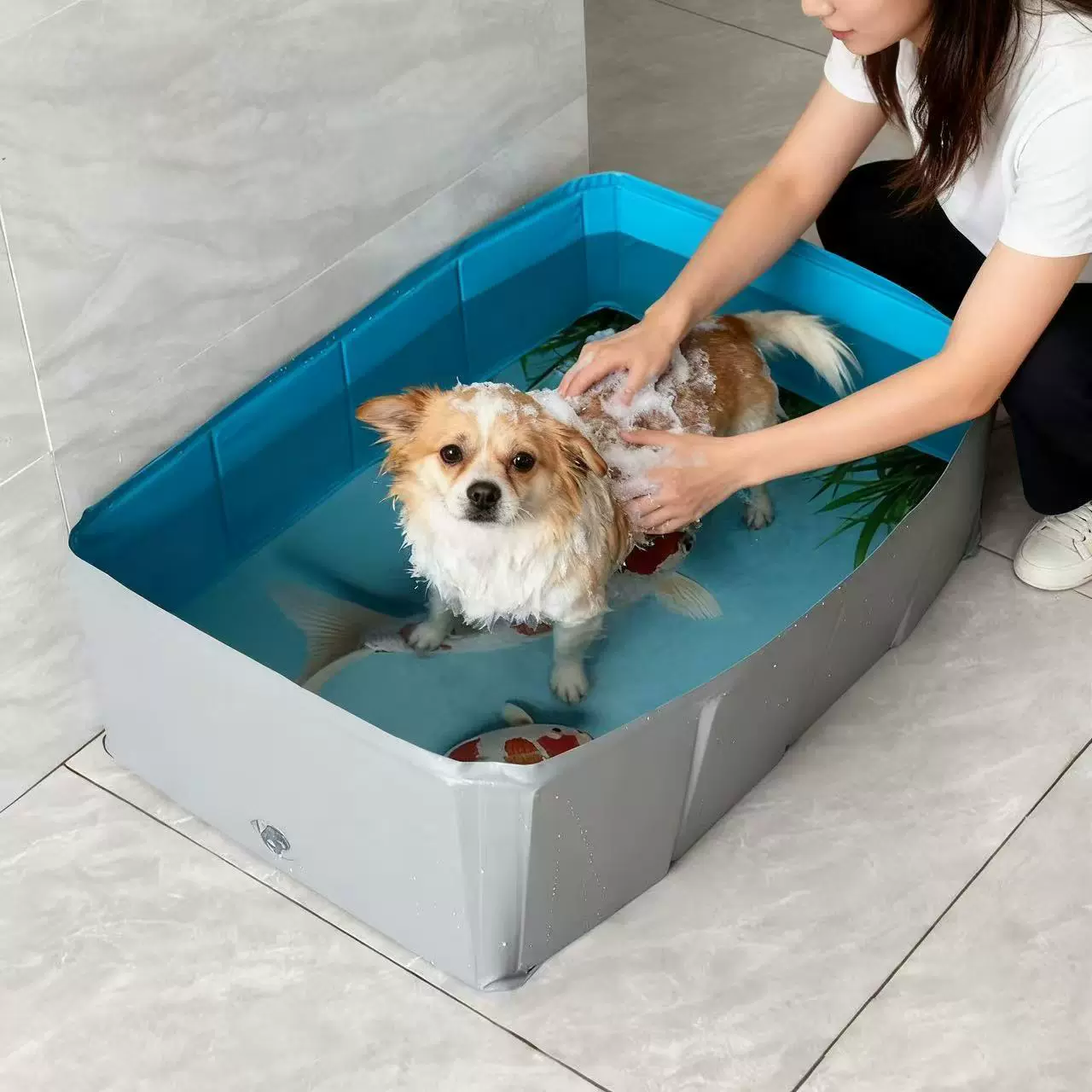 方形宠物浴盆洗澡盆可折叠狗洗澡专用盆带排水猫洗澡池狗狗游泳池