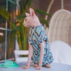 无毛猫斯芬克斯德文宠物小猫咪夏季衣服透气四脚包肚衣波西米亚