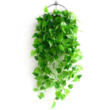 ����G�}�L�����Gֲ���g�͏d�������ϼ��~��ֲ��ڱڒ�ʽ