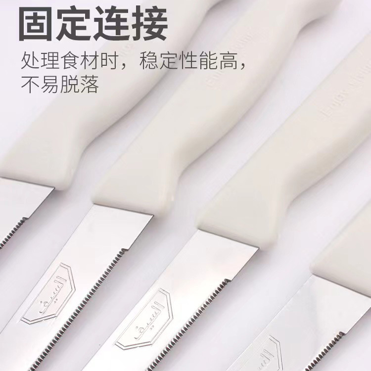 12pc cuchillo de filete de acero inoxidable dientes finos mango de plástico filete cuchillo de verduras cuchillo de frutas cuchillo de cocina
