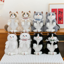 ����l��ż؈������ż�ɐ�؈���p�������ë�q���Ů����ͯ�Y��