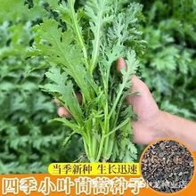 С~N͟ͺ˷NﶬN߲ݻʵ۲˷N