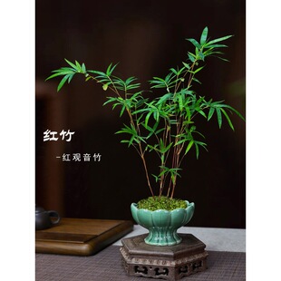 �t���^���������҃ȶU��Gֲ�������҄����辰�k����������������
