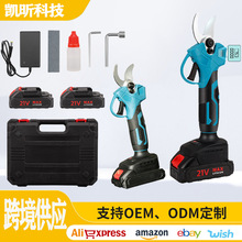 ����������֦��԰�������߿ռ��޼���֦��������֦�ӳ�������֦��