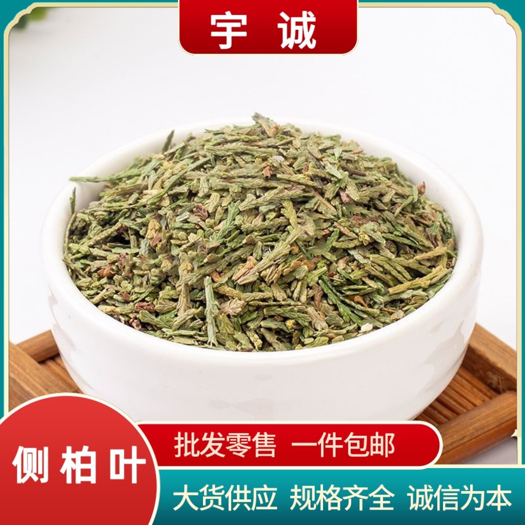 批发侧柏叶中药材新货青色柏叶树侧柏叶粉洗发皂角桑叶侧柏叶