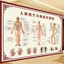 穴位图人体穴位图针灸经络拔罐经穴与病症对照中医大挂图