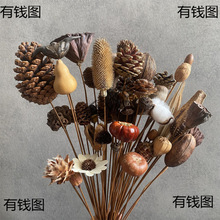 Uʾɹﻨɹɏ^廨޻͏dd[b