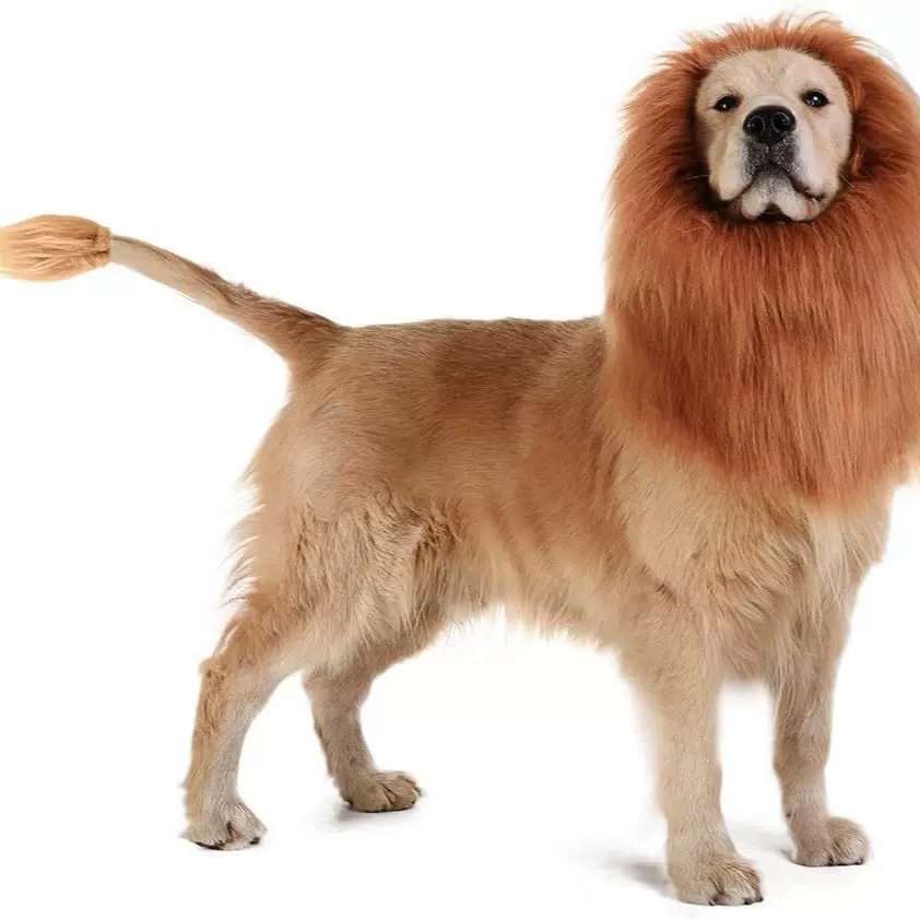 跨境搞笑带耳朵狮子头套帽子带耳朵款 宠物变身搞狗 丛林之王头套