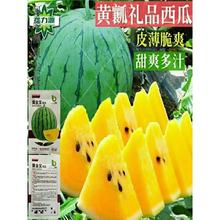 ƤSϷNӳSСSĶYƷ߲˹ϹN