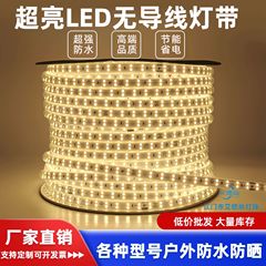 220v 高電圧 LED ライトストリップ 2835 超高輝度ワイヤーフリー屋外防水家の装飾エンジニアリングソフトライトストリップ照明雰囲気