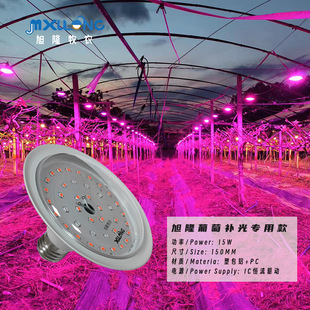 ��¡���r���I�����a����������L��LEDֲ���ꖹ�õ����������