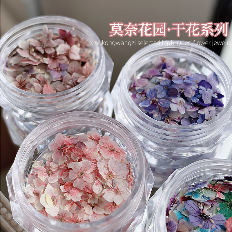 Nail Art Dried Flower Sticker Material Monet Garden Mini Five-Petal Flower Material Purple Small Floral DIY Nail Jewelry