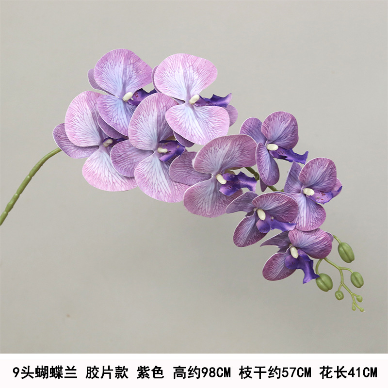 9-head film waterproof phalaenopsis-purple "thickened"