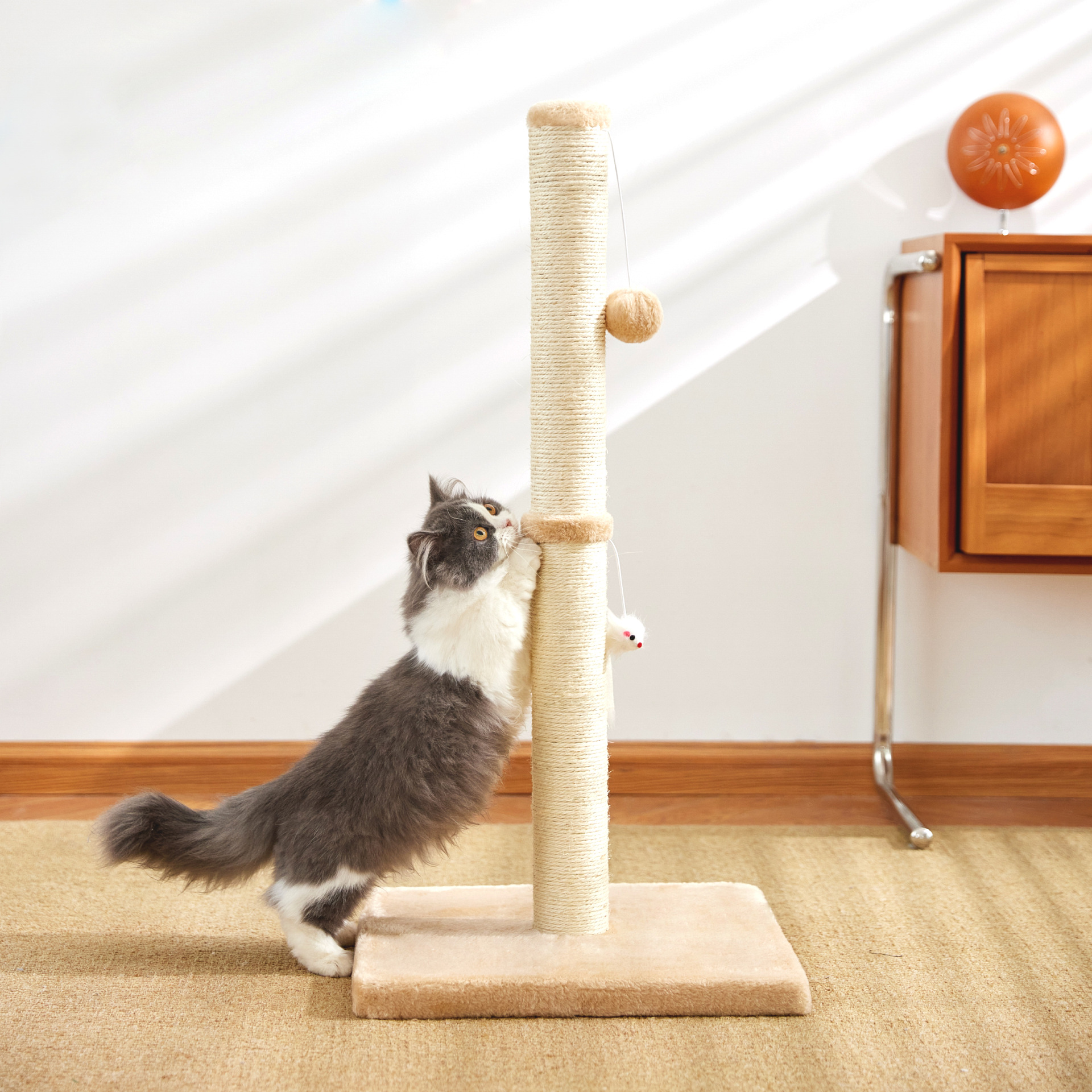 간단한 고양이 잡아 열★MS0002 m 다크 브라운