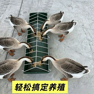 喂鸡长方形食槽新款养鸡喂食家用神器料槽打不翻鸡鸭养殖水槽家禽