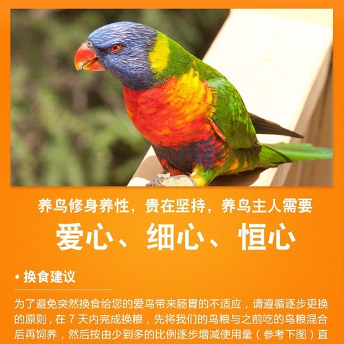 Running Around: Budgie Millet & Seed Bird Food, Peony & Cockatiel Grain, 1200ml Feeder