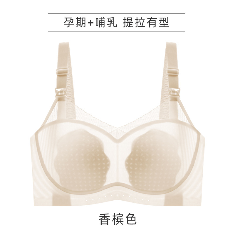 샴페인