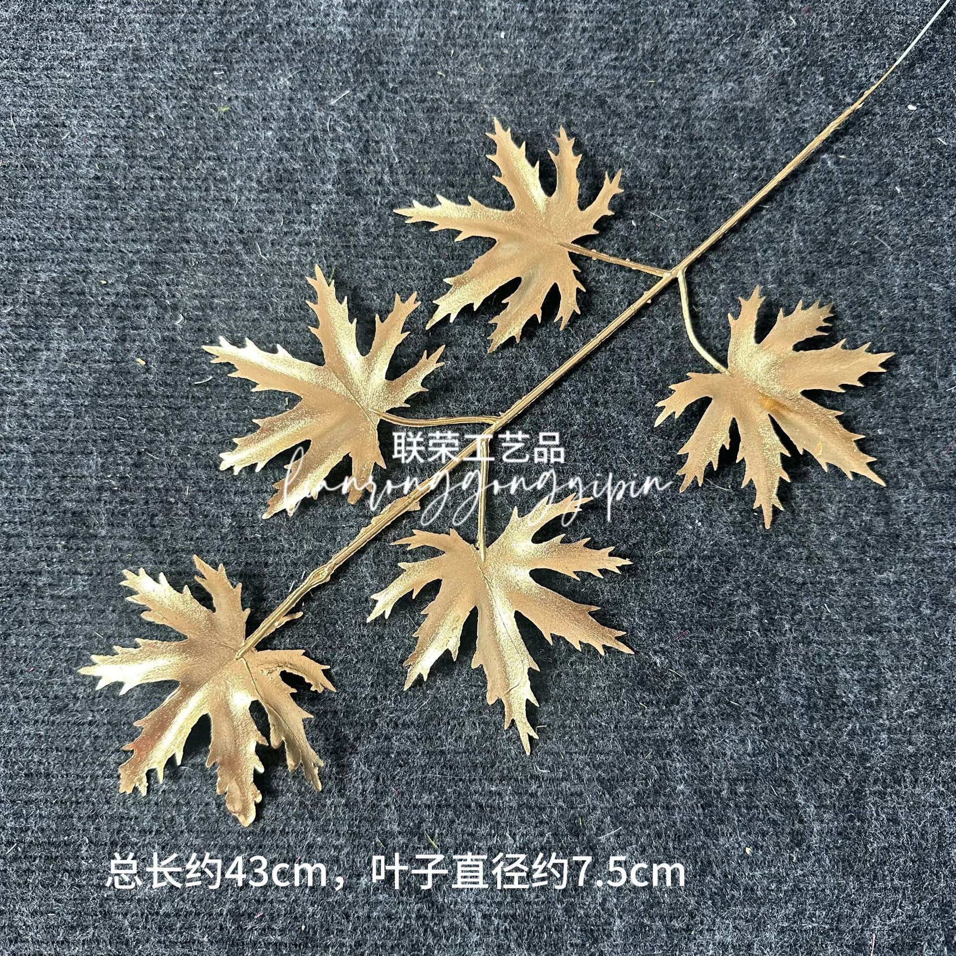 Single maple leaf