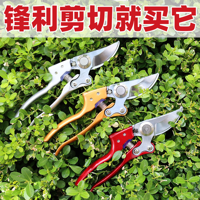 厂家批发园林工具  园艺修枝剪 快口省力剪 果树剪刀 树枝剪刀