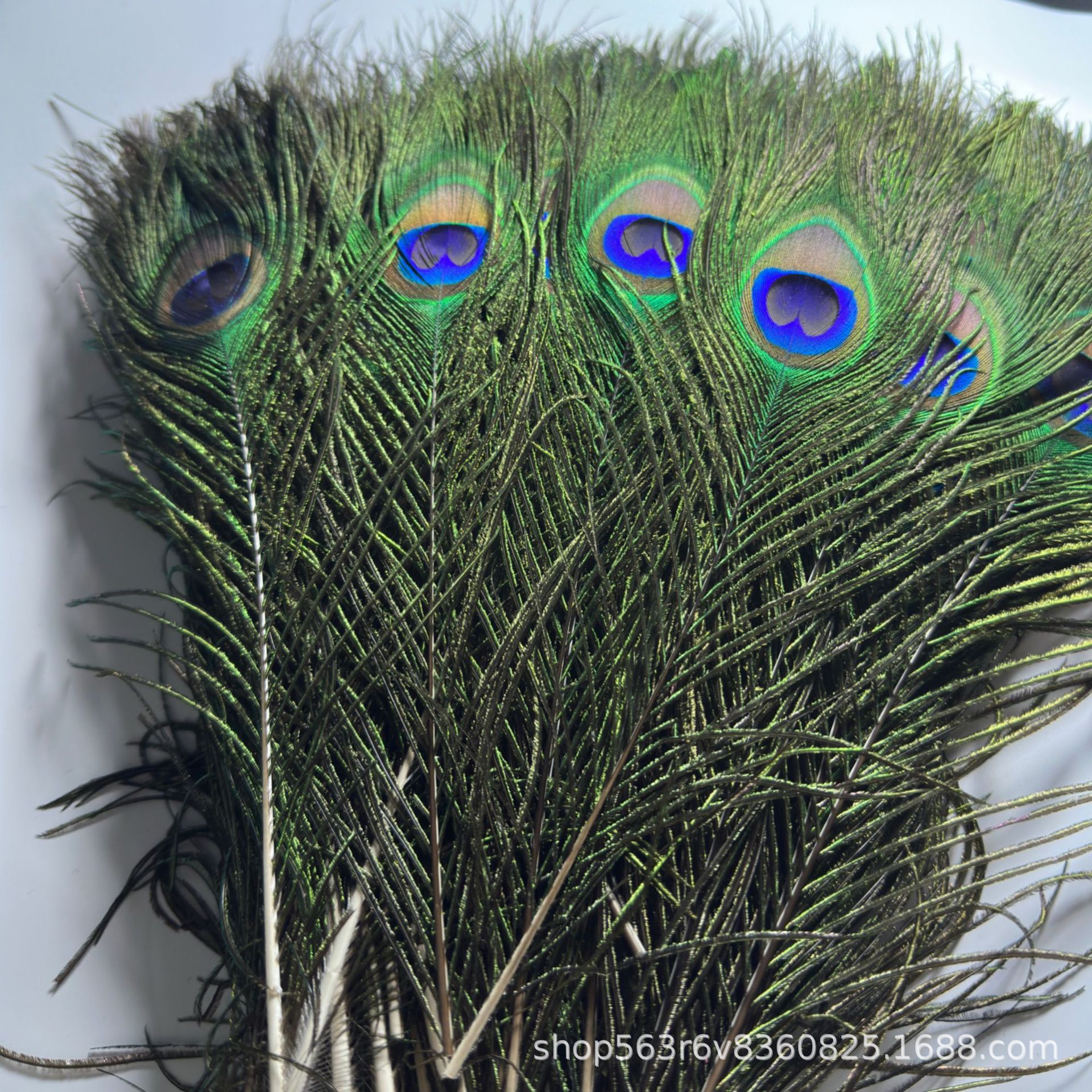 微信图片_20250109214018