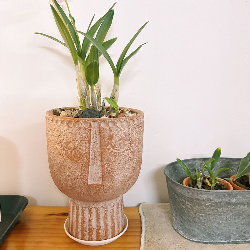 Succulent Flowerpot Bedroom Entrance Creative Abstract Trophy Portrait Art Vase Sculpture Dried Flower Breathable Pot Ornaments