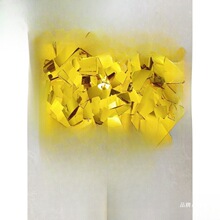 �����c���_�I�֒���l����Ƭ�a����늻��X�Y�ڲʼ����Lѩ�ʼ�Ƭ