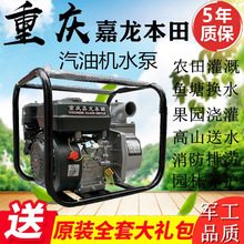 适用重庆嘉龙本田汽油机水泵2/3/4寸抽水机农用高压电启动灌溉自