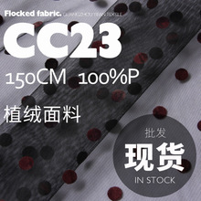 ׃ɫ��Ⱦ���c�A�cֲ�q�p���W���W�� �r�b�OӋ������ֲ�q����CC23