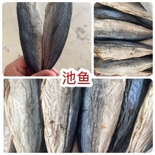 ���~�� ���� �ؔ�������lľ���~�����~�ɺ��r��؛���~�ɳ��~��