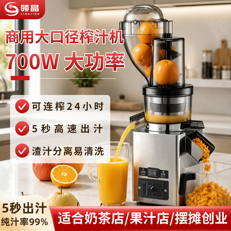 Lingjing Commercial Juicer, Stainless Steel High-Power Juicer, Large-Diameter Juice-Pulp Separator, Large-Scale Stand-Up Juice Machine