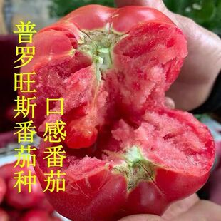 �S�ҹ������_��˹���t��ɳȿ���r��Ȼ�쑪��ˮ����������5��