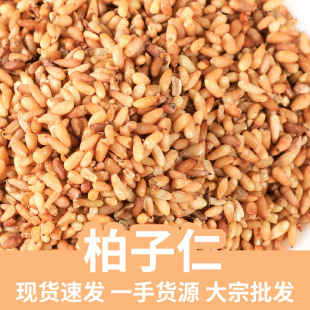 ������ ɢ�b��؛�F؛���������l ������ȥ�� ������ 500��