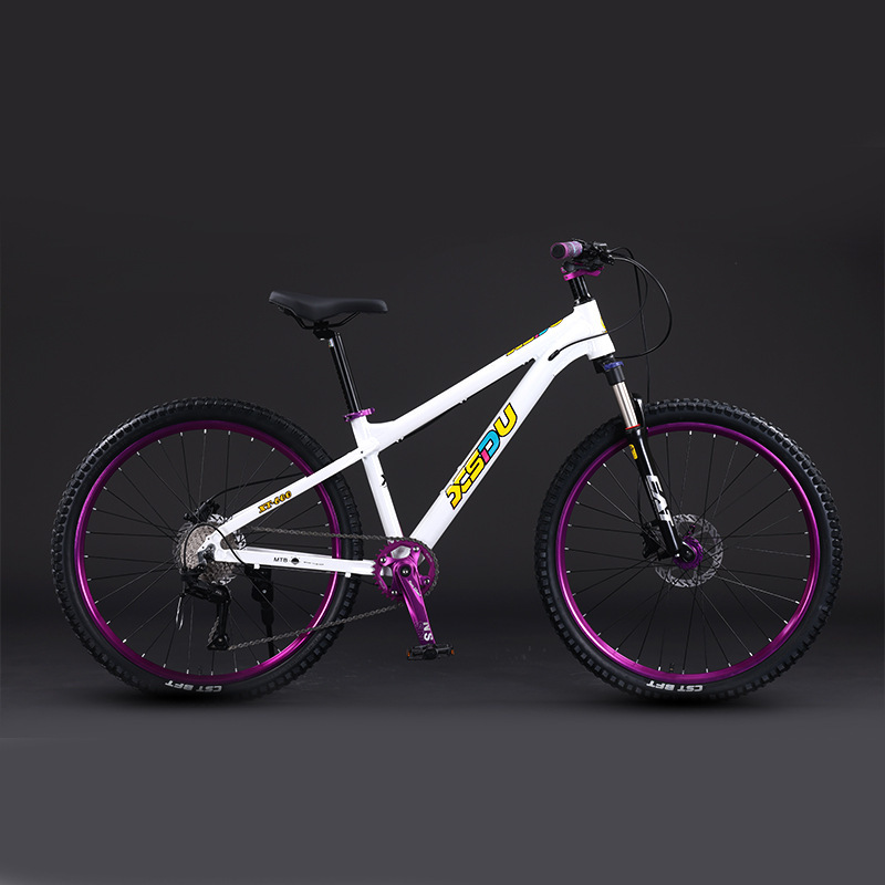 Mountain Bikes, Dirt Bikes, Men's and Women's Adult Lightweight Road Bikes, Disc Brakes, Variable Speed, Shock-Absorbing Bicycles, Manufacturer Export