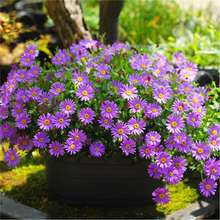 СջNļN_̨ͥԺԻRͺ