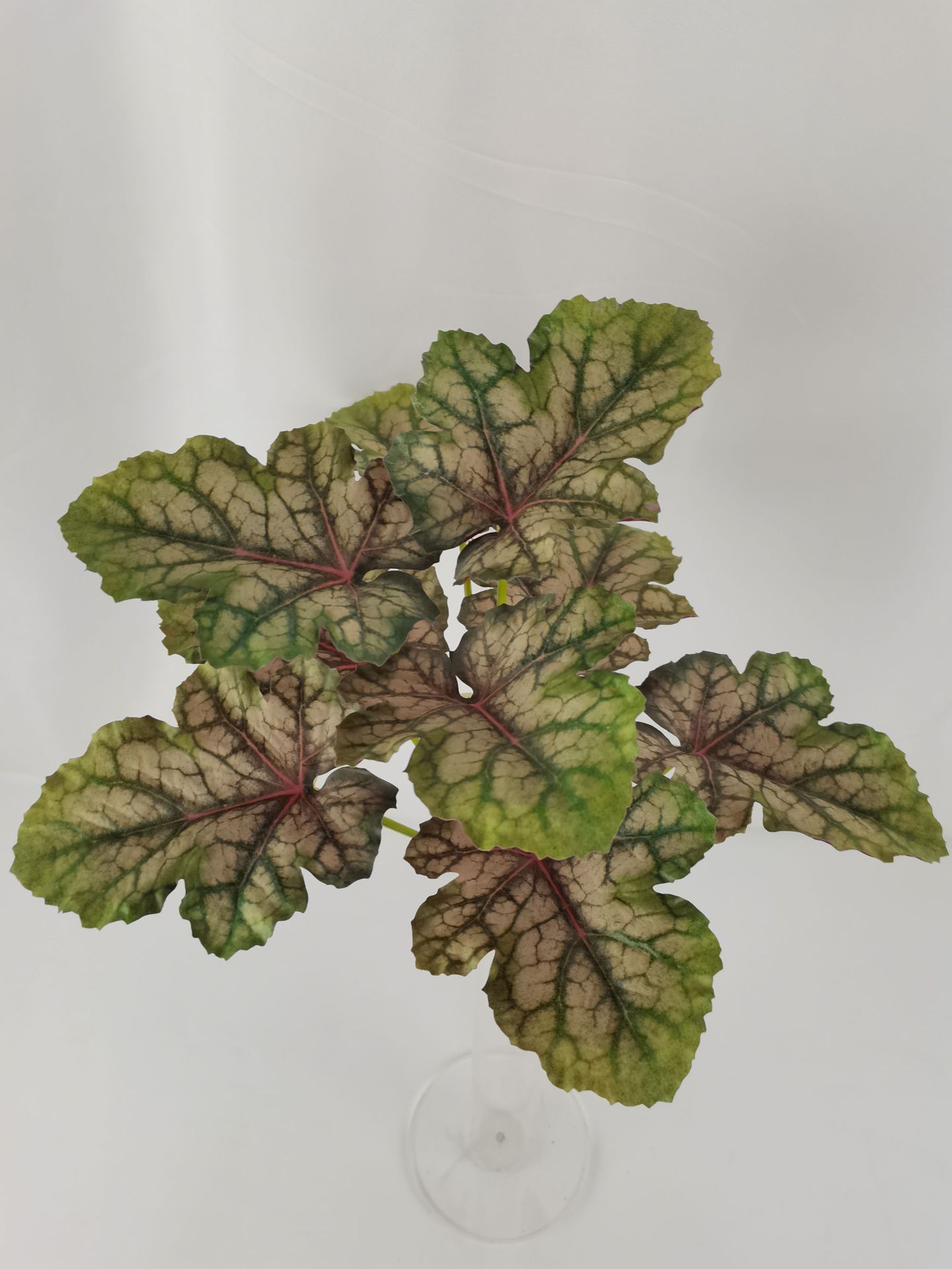 微信图片_20230529150050