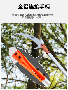 �����p�h�߿��֦����s��@���ֹ�䏸�֦��޼�������֦�