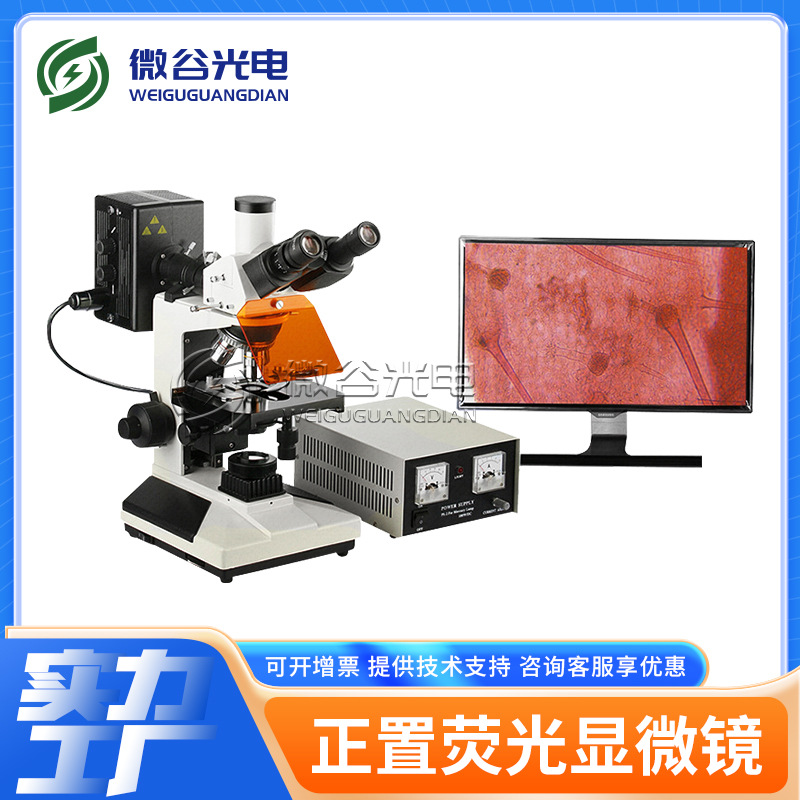 微谷显微镜销售 研究正置荧光显微镜ZYG1 高校实验室生物研究所