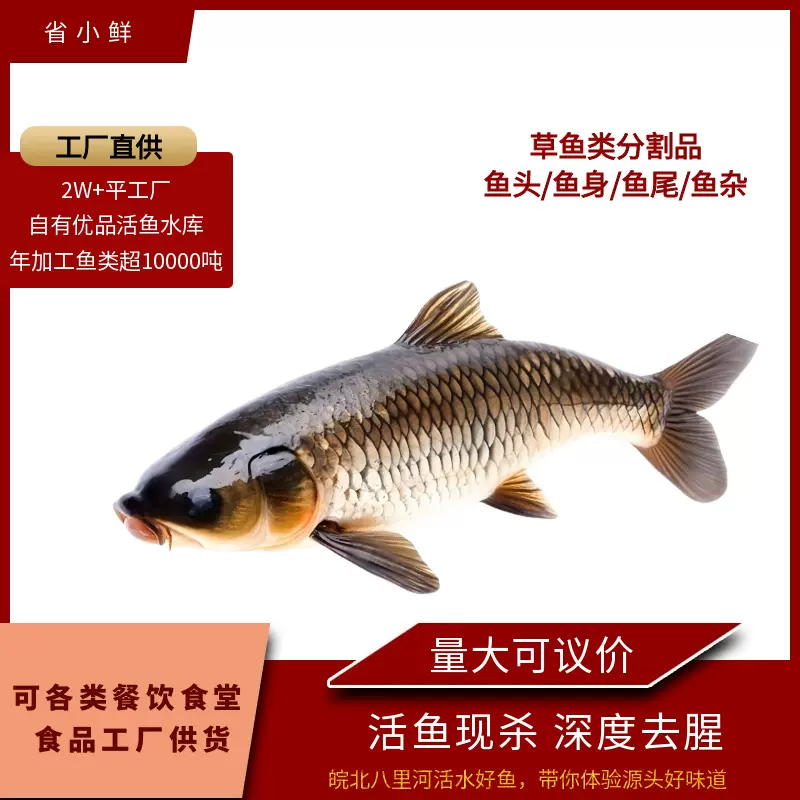 草鱼分割品鱼杂鱼身头尾活鱼现杀供应餐饮食堂鱼类食品工厂批发