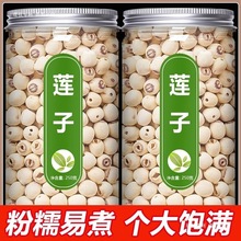 ɏ�Ӹ�؛ȥо��Ş���؛Ұ���Ľ�����ɏ�Ӱٺϸ�